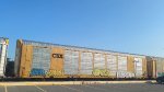 CSX G50160 (Body) TTGX 699835 (Flat)